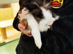 -藦茜花园宠物主题亲子互动体验馆(国顺东路店)