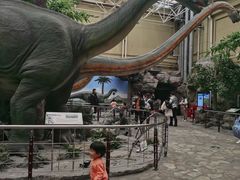 -国家自然博物馆