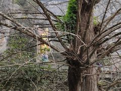 -大慈岩风景区