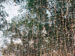 -酒座音乐主题串吧(滑翔西社区店)