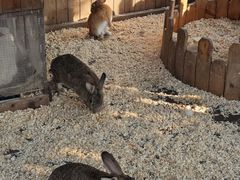 -HERRE·FARM 赫尔露营农场·团建聚会包场