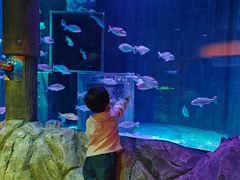 -沈阳海洋探索中心