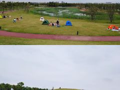 -春花秋色城市公园