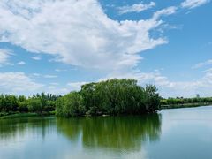 -大兴滨河森林公园