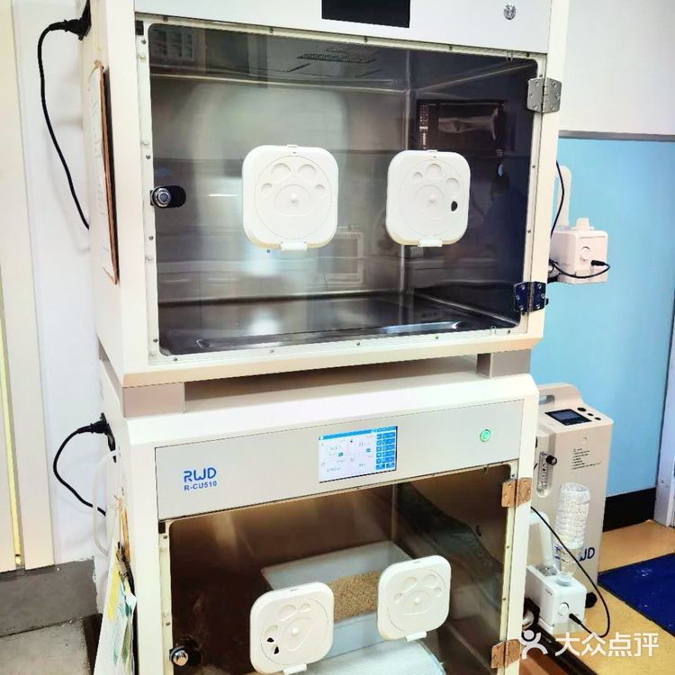 上海宠物医院推荐～为毛孩子寻找一家好口碑专业度高的医院