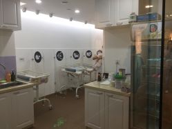 -海豚湾高端月子会所(黄浦店)