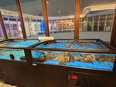 -南海渔村(珠江新城店)