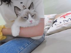 -藏猫猫咖啡主题馆(中央大道店)