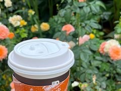 -Peet's Coffee皮爷咖啡(武商Mall手作店)