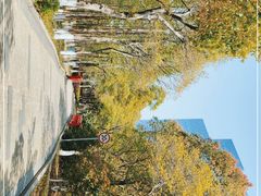-白鹭园