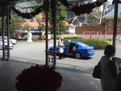 -Long Bar(莱佛士酒店)