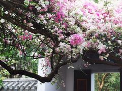 -深圳国际园林花卉博览园