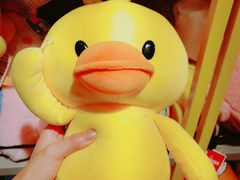 -天鹅湖体育公园