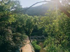 -白水寺森林公园