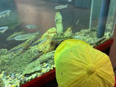 -浙江自然博物院(杭州馆)