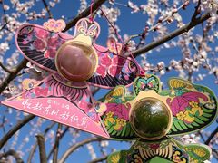 -南京大牌档(崇文门国瑞店)