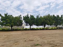 -风云岭森林公园