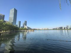 -天鹅湖体育公园