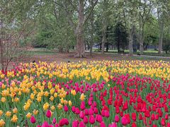 -国家植物园南园