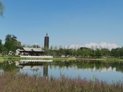 -西海子公园