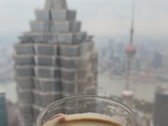 -The lounge 柏悦酒店大堂酒廊(上海环球金融中心店)