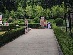 -上海佘山国家森林公园天马山园