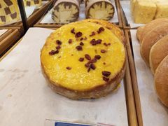 -丽莎蓓甜CAKE生日蛋糕·动物奶油(石家庄店)