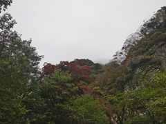 -牛背梁国家森林公园
