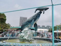 -海合安武汉极地海洋公园