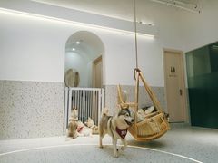 -Husky Go!哈士奇体验馆·宠物咖啡厅狗咖