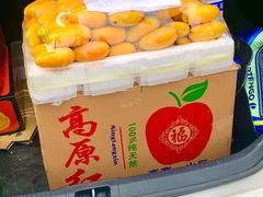 -东方鼎信农副产品交易中心