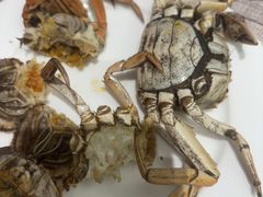 -东方红海鲜百汇(国际大厦店)