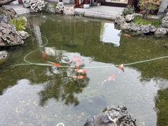 -水绘园
