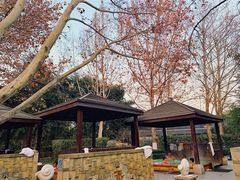 -春晖园度假酒店温泉