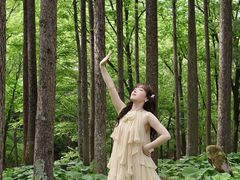 -洛阳白云山景区