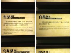 -中国茶叶博物馆(双峰馆区)