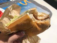 -麦当劳(金平路站店)