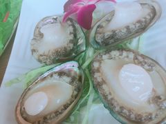 鲍鱼-金海阁海鲜火锅