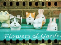 -青韵台陶艺Diy(永庆坊店)