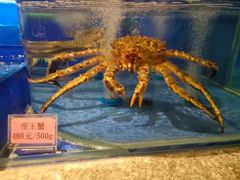 -金时代顺风大酒店(临港百联店)