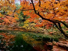 -虞山风景区
