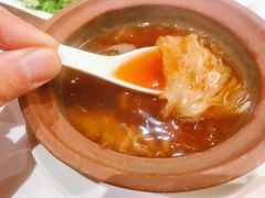 红烧大鲍翅-苏浙汇(古北店)