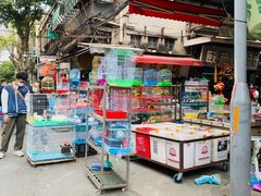 -清平路水族市场
