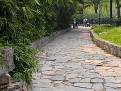 -丰台花园