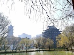-长兴太湖图影湿地文化园