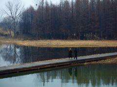 -溱湖国家湿地公园