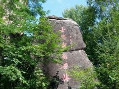 android_upload_pic-汤旺河林海奇石景区