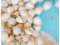 -北戴河东海水浴场