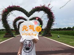 -迪茵湖田家舍生态农场