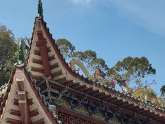 -神光山国家森林公园